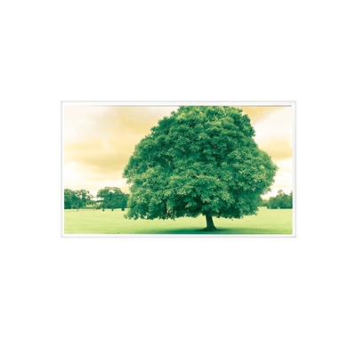 good price 1600*1200 TDA150-005V01 15.0 inch 60Hz 1000:1  LCD Screen Display online