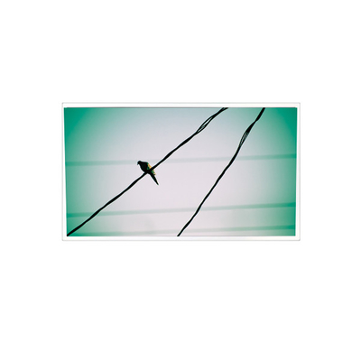 good price TDA104-001V01 10.4 inch 1024*768 1000:1 LVDS LCD Panel Display for Industrial online