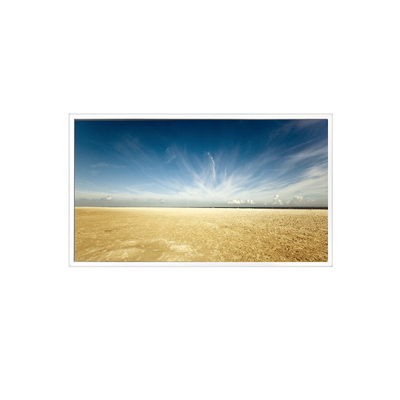 good price 800*1280 10.1 inch TV101WXM-NM0 500 cd/m2 LCD Panel for Pad Tablet online