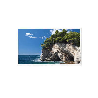 good price TV101WXM-NM1 800*1280 10.1 inch 39 pins 8S4PWLED LCD Panel online