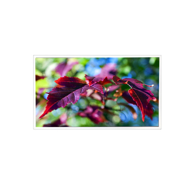good price TV116FHM-N00 1920*1080 11.6 inch 60Hz 40 pins LCD Panel Screen Monitor online
