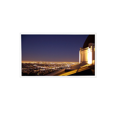 good price 1920*1080 10.1 inch TV101FHM-N00 900:1 40 pins LCD Screen for Industrial online