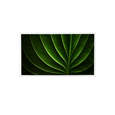 good price TAD201-001 20.1 inch 1600*1200 450 cd/m2 60Hz LCD Screen for Industrial online