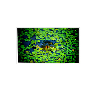 good price 1920*1080 QV215FHB-N51 21.5 inch LCD Screen for Industrial online