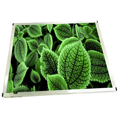 good price R213TFE-L53 LCD Screen Panel 21.3 Inch LCD Display Module online