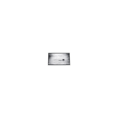 good price 640*480 3.5 inch PD035VX1 262K LCD Screen for Projector online