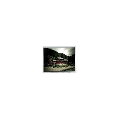 good price 480*640 PD050VX4 5.0 inch 262K 400:1 LCD Screen Panel online