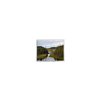 good price 5.0 inch PD050VX8 640*480 400 : 1 262K LCD Screen Display online
