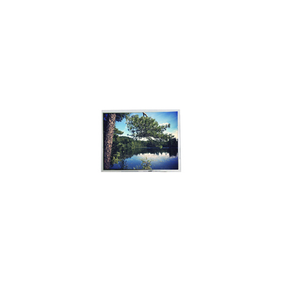 good price PD104SL3 800*600 10.4 inch LVDS LCD Screen Panel Display online