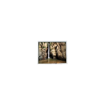good price 800*600 PD104SLJ 10.4 inch 400 cd/m2 60Hz LCD Screen Display online