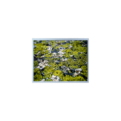 good price 1024*768 12.1 inch PD121XL9 4S6P WLED 60Hz LCD Panel Screen online