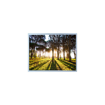 good price Hot Sell 800*480 PM100WX2 10.0 inch LCD Screen for Industrial online
