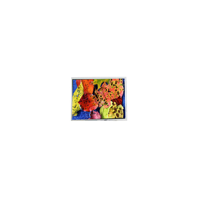 good price 800*600 AM-80060K3TMQW-02H 10.4 inch LVDS LCD Screen Display online