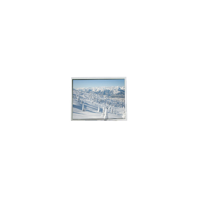 good price AM-320240NTMCW-T00H-A(R) 5.7 inch 320*240 Touch LCD Screen Display online