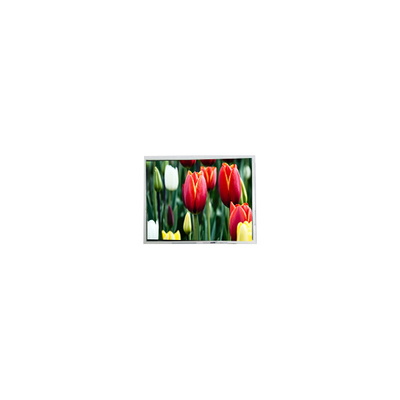 good price 8.9 inch AM-800480ANTMQW-A0H 800*480 LCD screen Panel Display online