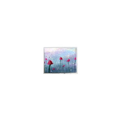 good price AM-800480LTMQW-TW1H 5.0 inch 800*480 Touch LCD Panel Display Screen online