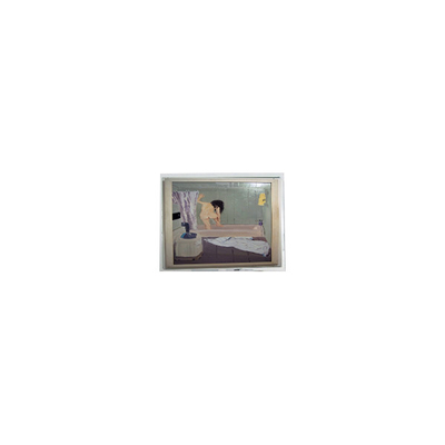 good price 800*480 5.0 inch AM-800480NATZQW-00H LCD Screen Panel Display online