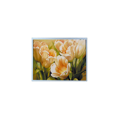 good price 9.0 inch 1024*600 AM-1024600Y2TZQW-A0H TFT 1200 cd/m2 LCD Screen Panel online
