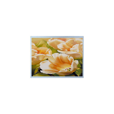 good price 1024*600 AM-1024600Y3TZQW-A1H 9.0 inch TFT 300 cd/m2 LCD Screen Parts online