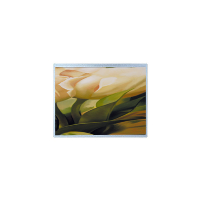 good price AM-1024600YTZQW-00H 1024*600 9.0 inch TFT 500 cd/m2  LCD Screen Panel online