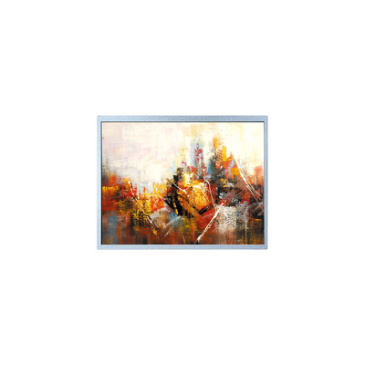 good price 1024*768 10.4 inch AM-1024768M2TMQW-T00H 30 pins TFT LCD Screen online