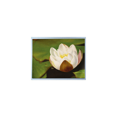 good price AM-1024768M2TMQW-T06H 1024*768 10.4 inch PCAP TFT LCD Screen Parts online