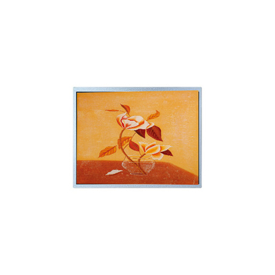 good price NEW 15.0 inch AM-1024768Q2TMQW-00H TFT LCD Screen FOR Industrial online
