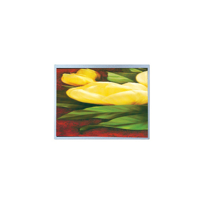 good price Hot Sell 12.1 inch AM-1024768R2TNQW-T00H 1024*768 TFT LCD Screen online
