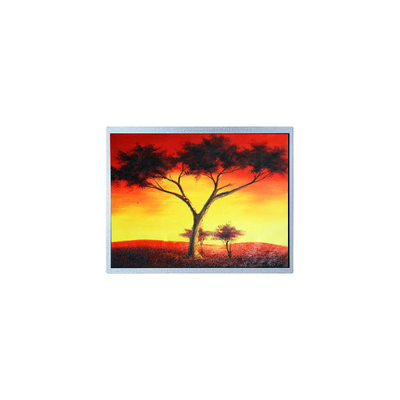 good price AM-1024768Z6TZQW-00H 1024*768 12.1 inch 1300 cd/m2 TFT LCD Screen online
