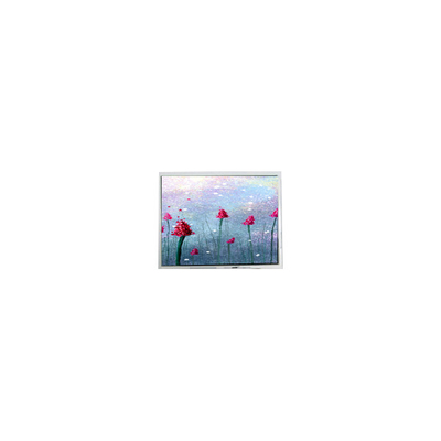 good price 5.2 inch DMF5005N-SEW-ABE-CP 240*64 70Hz LCD Screen Display online