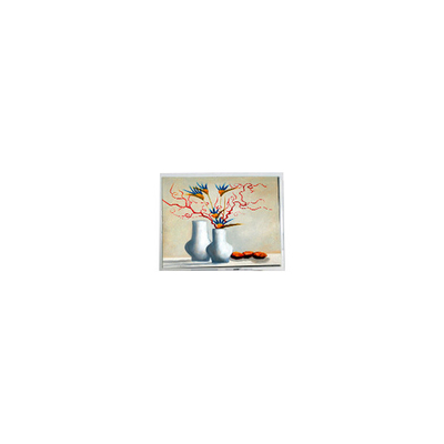 good price NEW 5.2 inch DMF5010NB-FW-BC 400 cd/m2 LCD Screen Display module online