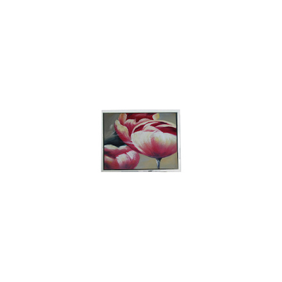 good price Original 240*64 DMF5010NF-FW-BE 5.2 inch 70Hz LCD Panel online