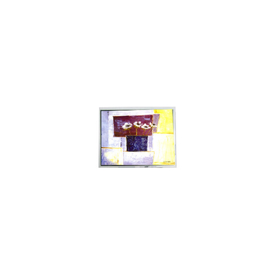good price DMF50260NF-FW-15 9.4 inch 640*480 15 pins LCD screen Parts online