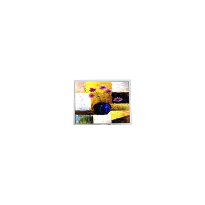 good price Hot Sell 9.4 inch DMF50260NF-FW-18 640*480 15 pins LCD screen online