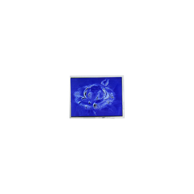 good price Original 640*480 DMF50260NFU-FW-21 9.4 inch 70Hz LCD screen Panel online