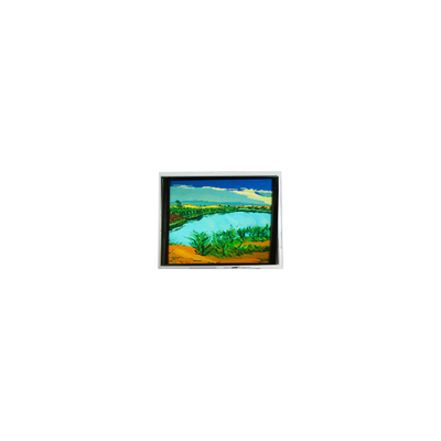 good price DMF-50316NF-FW-1 240*64 5.2 inch 130 cd/m2 LCD screen online
