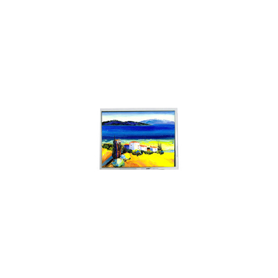 good price Hot Sell 5.4 inch DMF50773NF-FW 240*128 22 pins LCD screen online