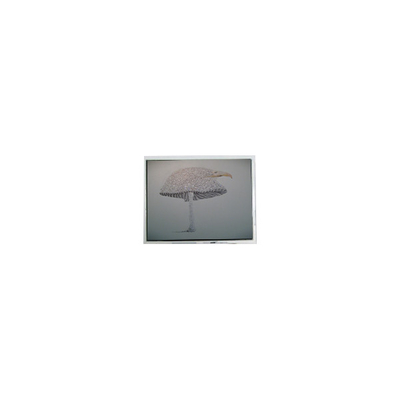 good price 9.4 inch DMF-51043NFU-FW 640*480 LCD screen Panel online