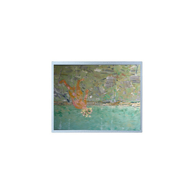 good price new 9.4 inch F-51430NFU-FW-AEN 640*480 15 pins LCD display Screen online