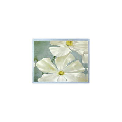 good price F-51851GNFQJ-LW-AAN 240*64 5.2 inch 72 pins LCD display Panel online
