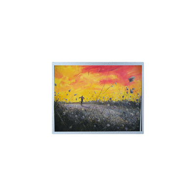 good price F-55157GNB-FW-APN 320*240 5.7 inch LCD Screen Panel Display online