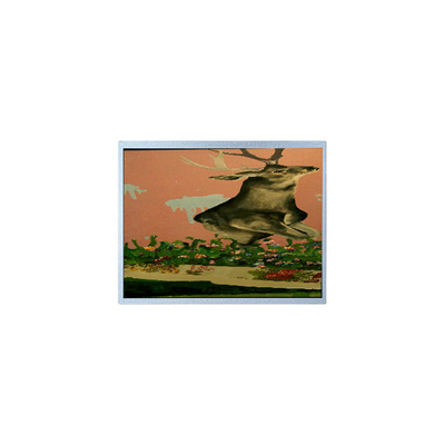 good price 15.0 inch T-51863D150J-FW-A-AE 1024*768 LVDS LCD Monitor Industrial online