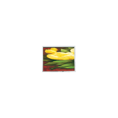 good price NEW 5.7 inch T-55265GD057J-LW-ABN 320*240 33 pins LCD Screen online