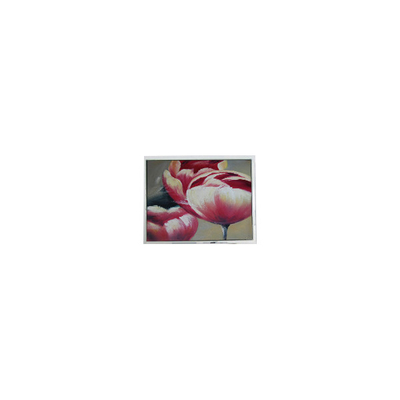 good price NEW T-55548GD057JU-LW-AAN 5.7 inch 262K LCD Screen Parts online