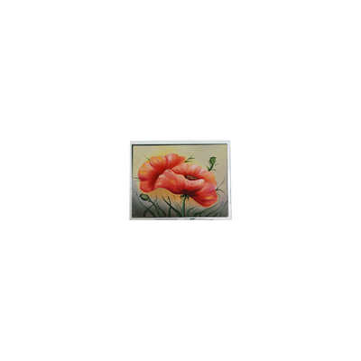 good price T-55548GD057JU-LW-ACN 5.7 inch Touch LCD Screen Panel online