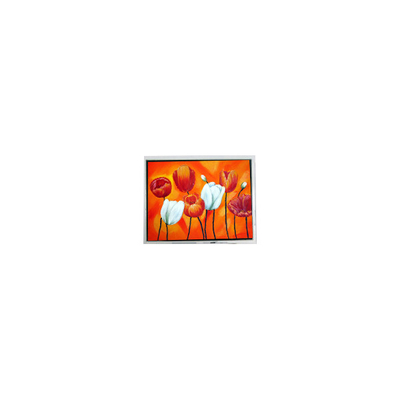 good price T-55644D090J-LW-A-AAN 9.0 inch 1280*768 LCD Screen FOR Industrial online