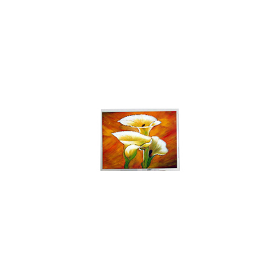 good price T-55694D106J-LW-A-AAN 10.6 inch 1280*768 1000 cd/m2 LCD Screen Display online