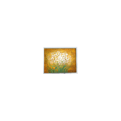 good price 19.0 inch T-55699D190J-LW-A-AAN LCD Panel FOR Outdoor High Brightness online