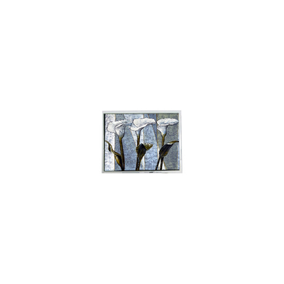good price 800*480 T-55785GD070J-LW-ADN 7.0 inch 262K LCD Display Screen online
