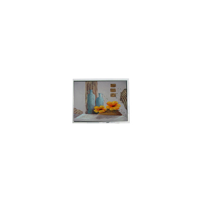 good price 10.4 Inch LCD Panel Display TCG104SVLQ*PNN-AN*55 800*600 LVDS Interface online